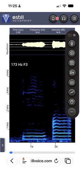 Estill Voiceprint running in Safari on an iPhone: a live spectrogram of a sung note, read as 173 Hz F3, under its waveform, with the app’s record, play, save and camera tools down the right edge.